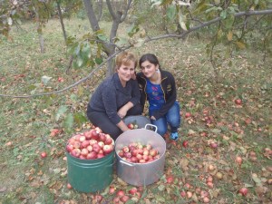 My host-mom Talico and host-sister Tamuna, picking apples on the farm